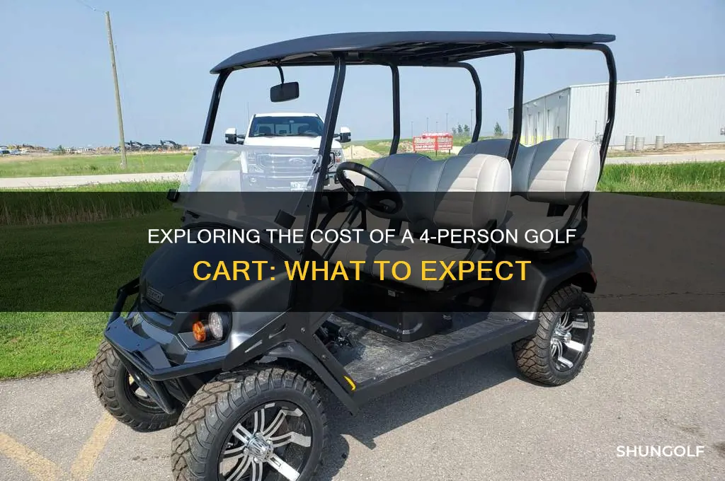 how much does a 4 person golf cart cost