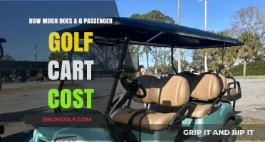 Pricing Guide: 6-Passenger Golf Cart Costs and Budgeting Tips