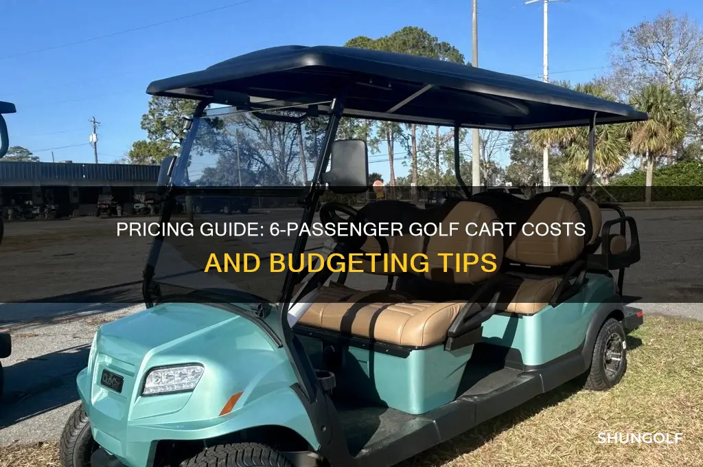 how much does a 6 passenger golf cart cost