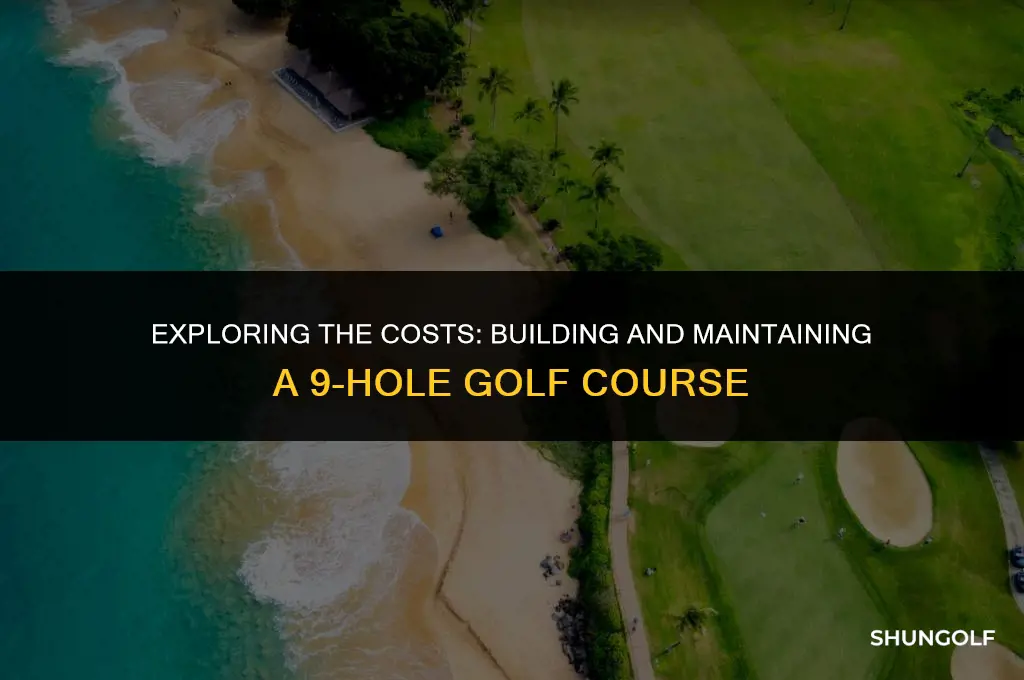 how much does a 9 hole golf course cost