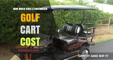 Custom Golf Cart Pricing: Factors Influencing Your Personalized Ride's Cost