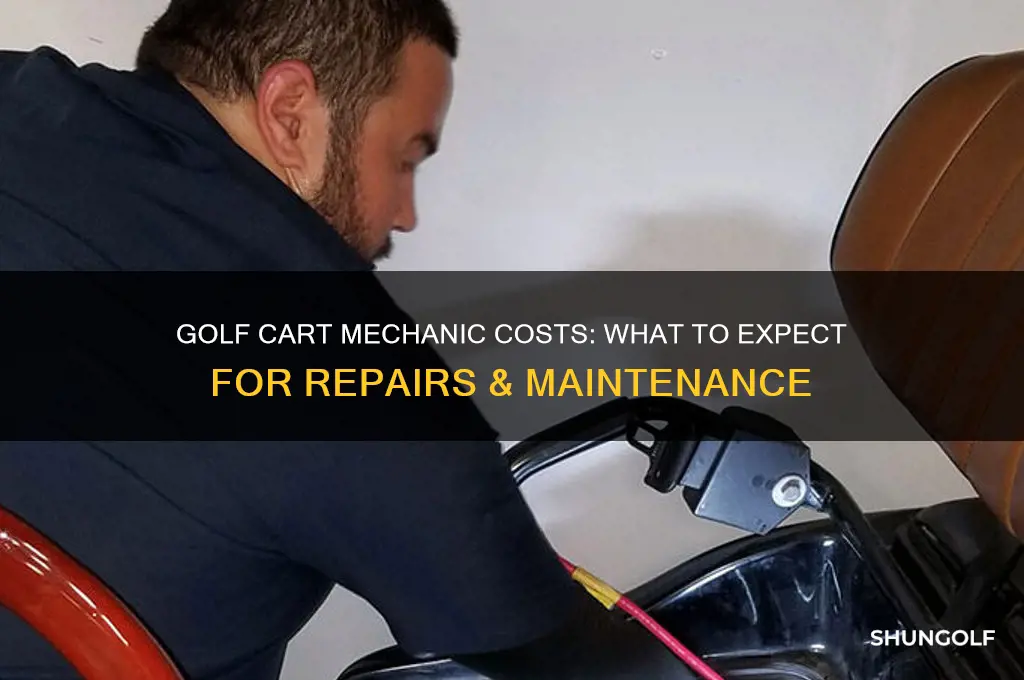 how much does a golf cart mechanic