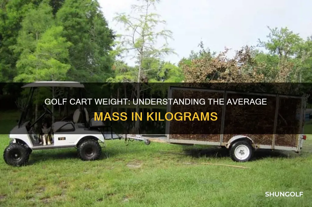 how much does a golf cart weigh in kg