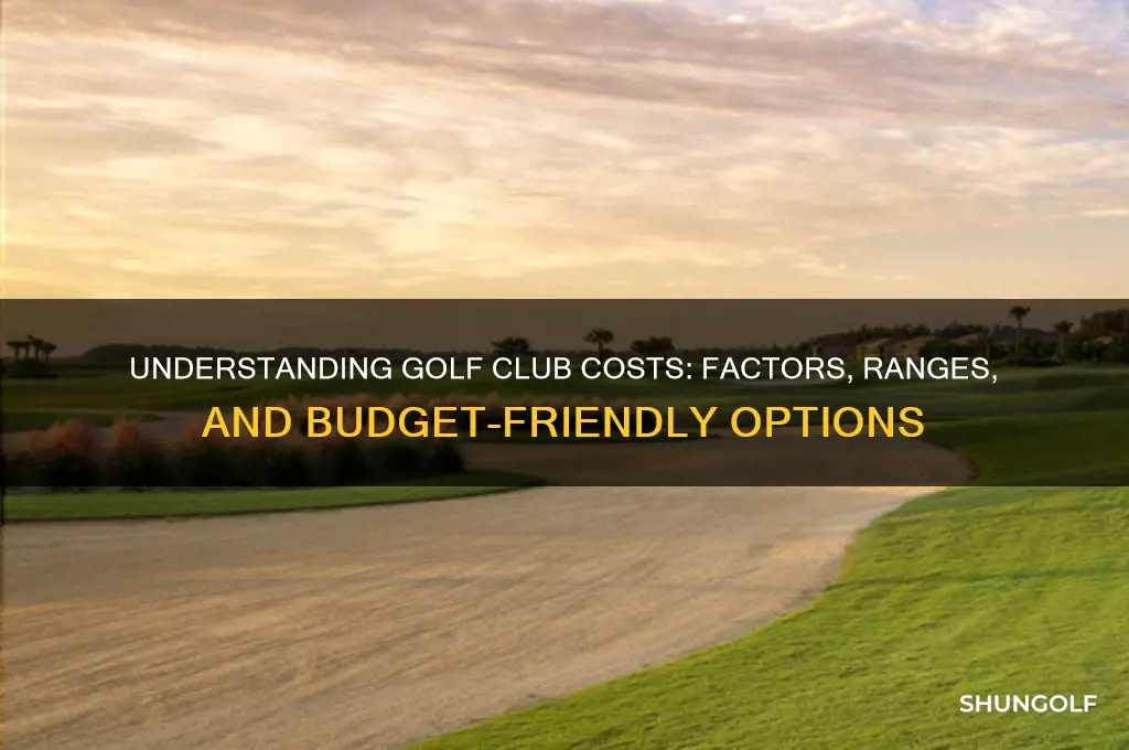 how much does a golf club cost