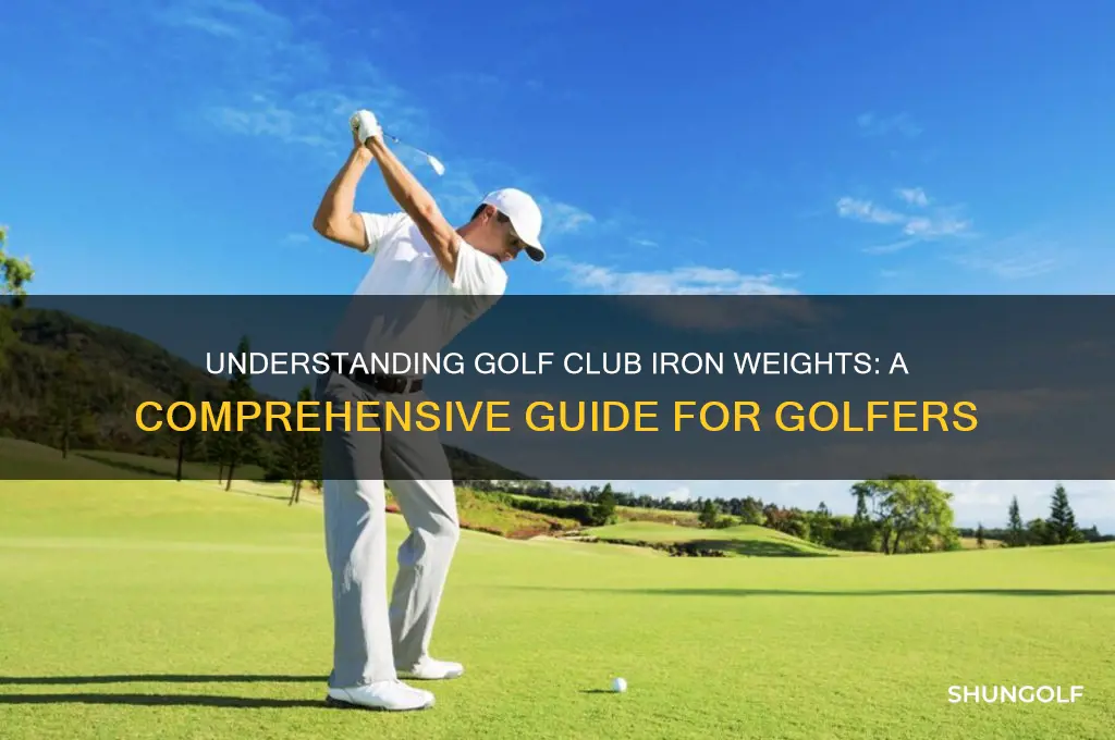 how much does a golf club iron weigh