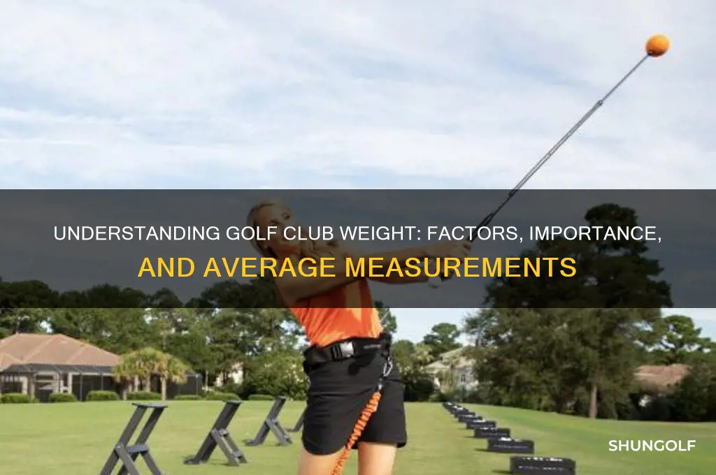 how much does a golf club weight