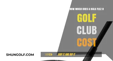 Halo FLEX R Golf Club Price: Cost and Value Guide
