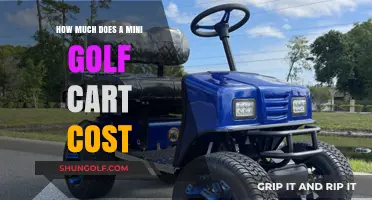 Mini Golf Cart Pricing Guide: Costs and Budgeting Tips