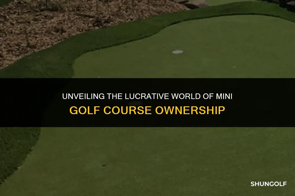 how much does a mini golf course owner make