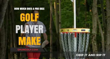 Pro Disc Golf Earnings: Unveiling the Income of Top Players