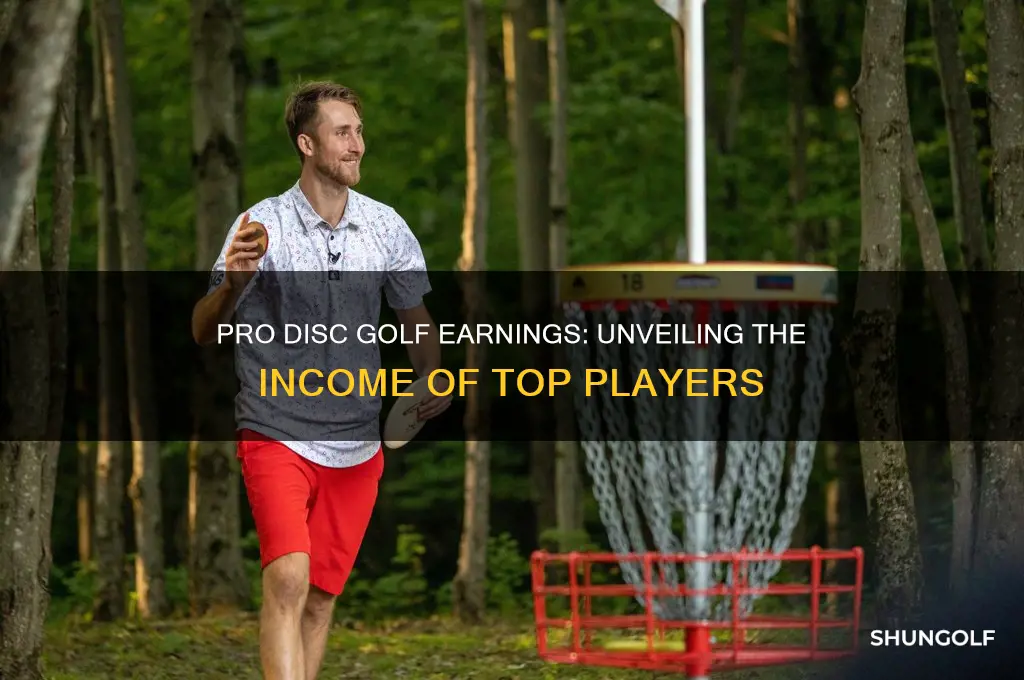 how much does a pro disc golf player make