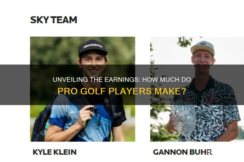 how much does a pro golf player make