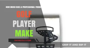 Professional Disc Golf Earnings: Unveiling Player Income Potential