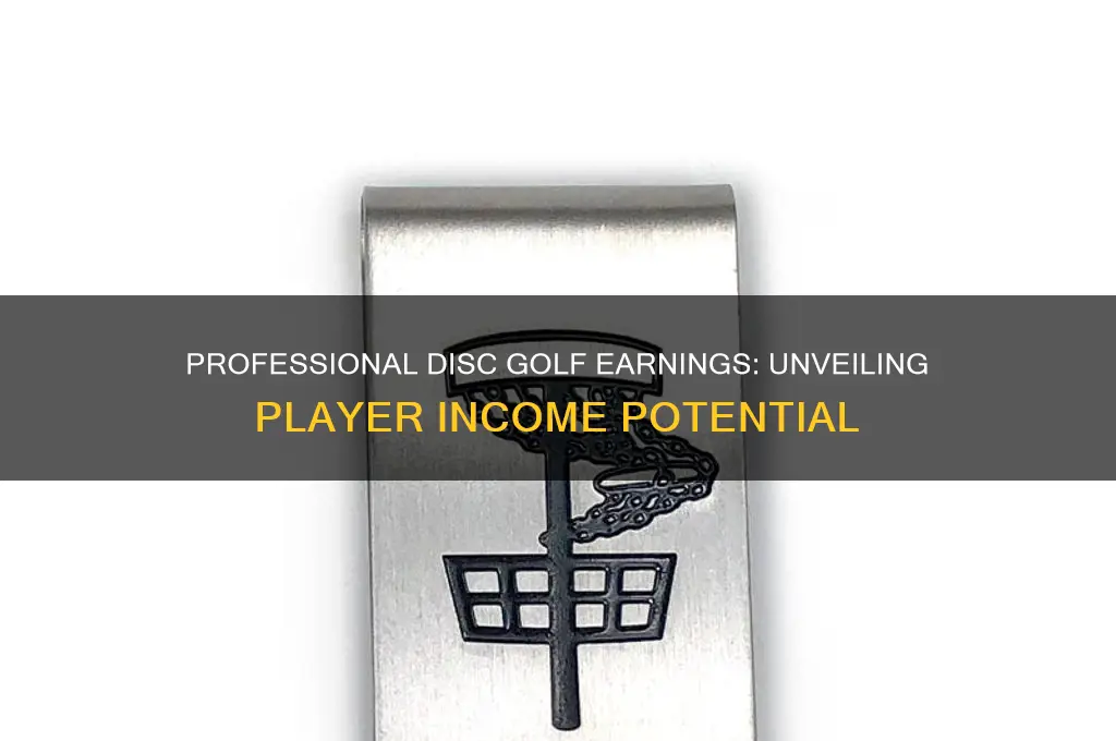 how much does a professional frisbee golf player make