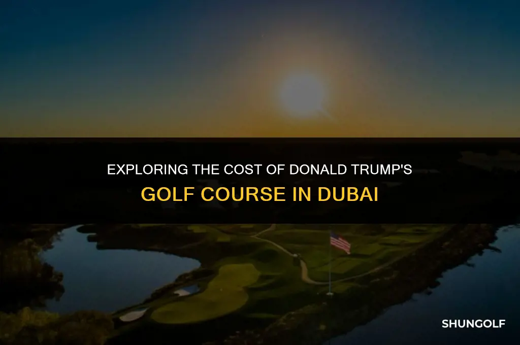 how much does donald trump