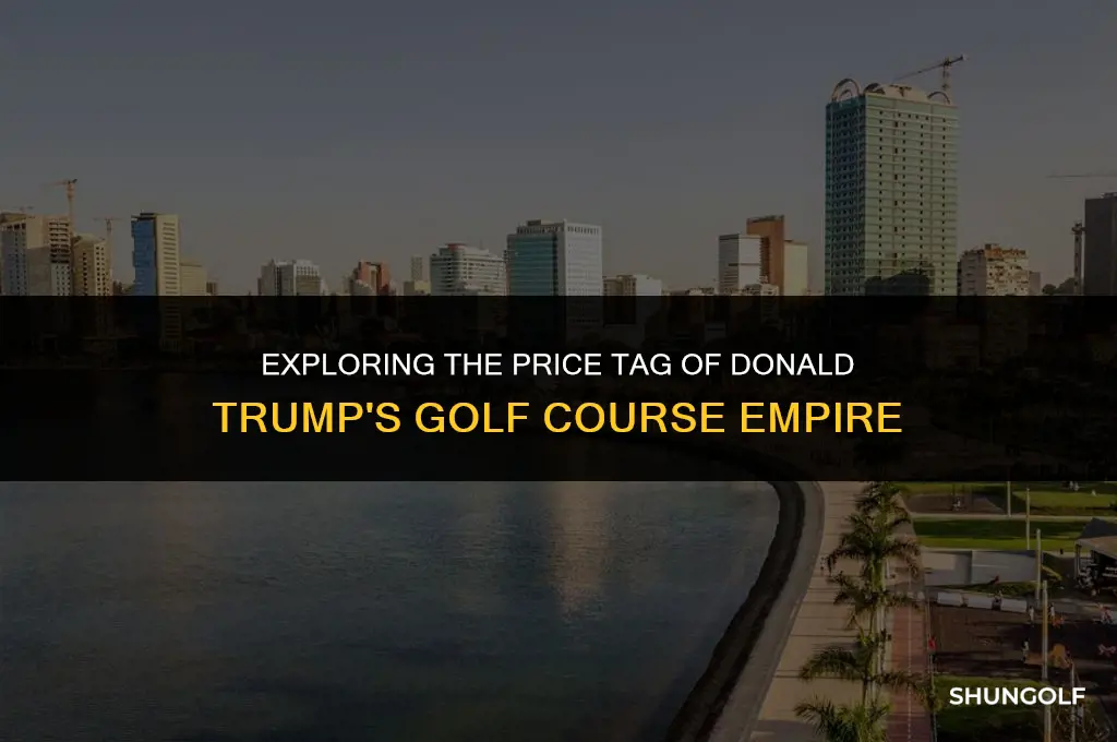 how much does donald trump