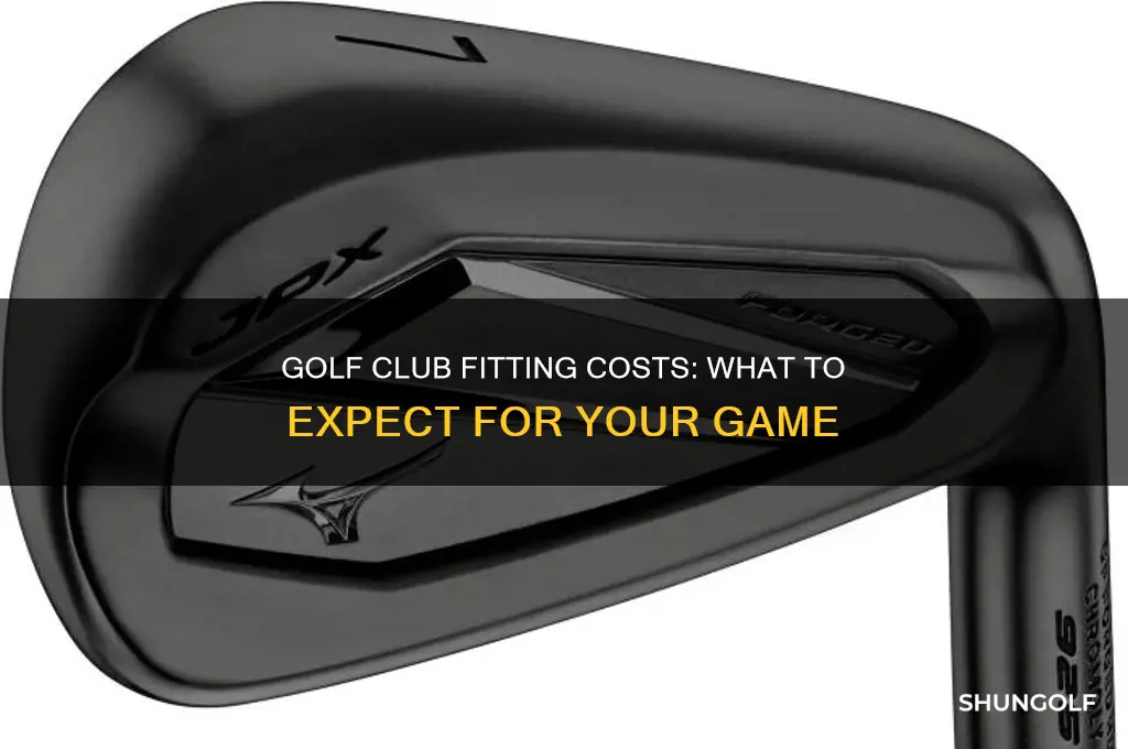 how much does getting fit for golf clubs cost