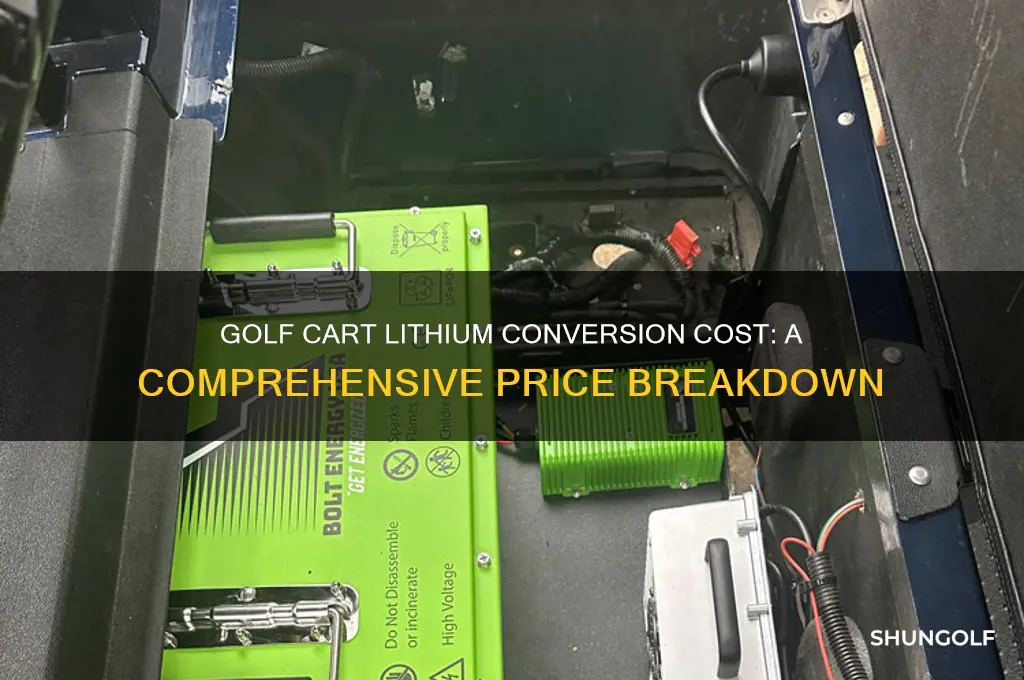 how much does golf cart lithium conversion cost