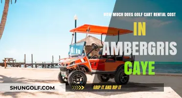 Golf Cart Rental Costs in Ambergris Caye: What to Expect