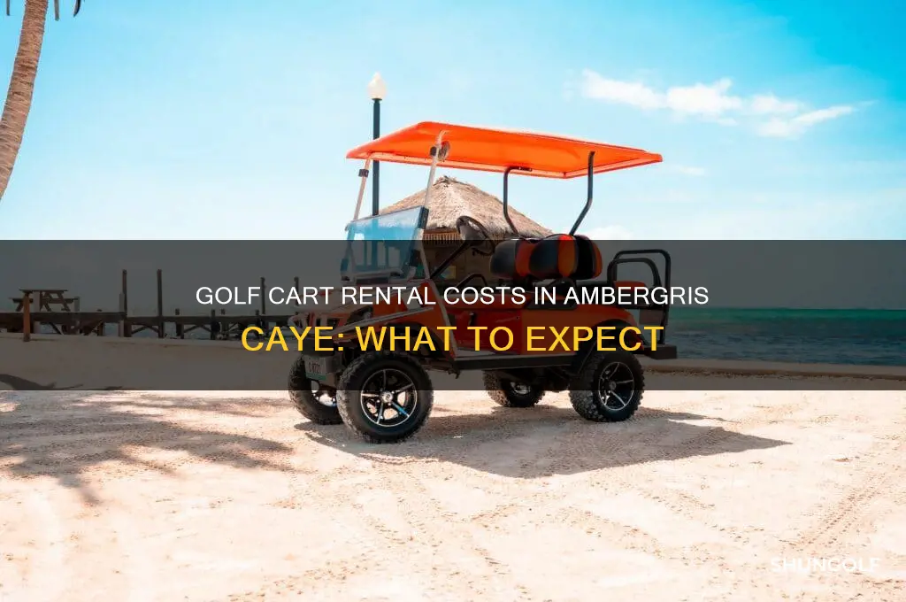 how much does golf cart rental cost in ambergris caye