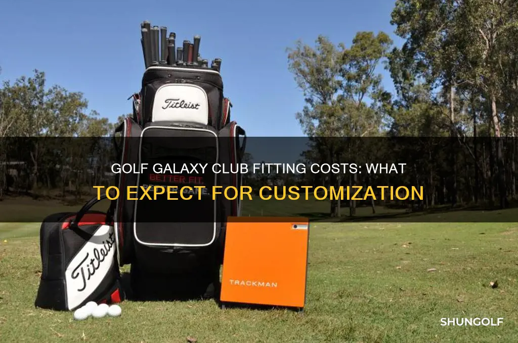 how much does golf galaxy charge for club fitting