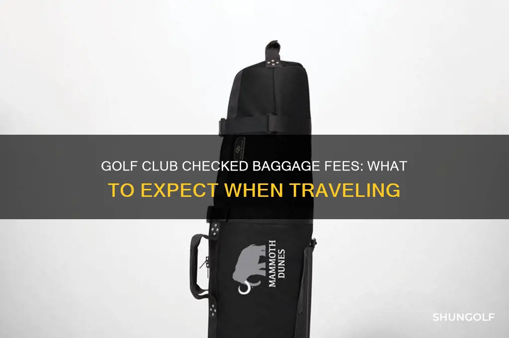 how much does it cost to check golf clubs