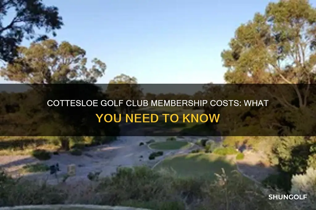 how much does it cost to join cottesloe golf club