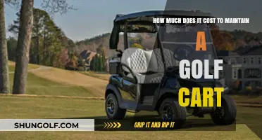 Golf Cart Maintenance Costs: Budgeting for Long-Term Ownership Expenses