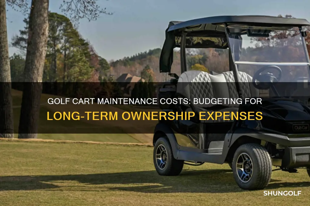 how much does it cost to maintain a golf cart