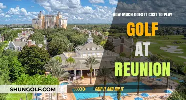 Reunion Golf Course Fees: A Comprehensive Cost Breakdown for Players