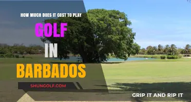 Exploring Golf Costs in Barbados: Fees, Courses, and Budget Tips