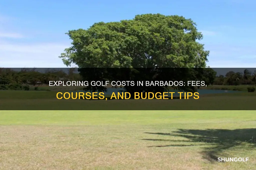 how much does it cost to play golf in barbados