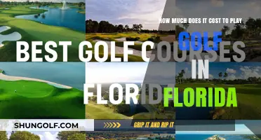 Exploring Florida's Golf Costs: A Comprehensive Guide for Players
