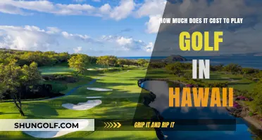 Exploring Hawaii's Golf Costs: A Guide to Greens Fees and Expenses