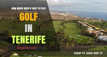 Tenerife Golf Costs: Exploring Green Fees and Expenses