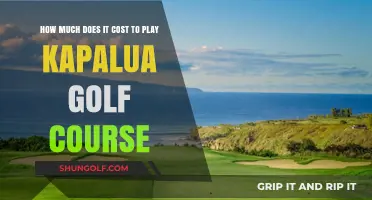Exploring the Greens: A Cost Breakdown for Kapalua Golf Course