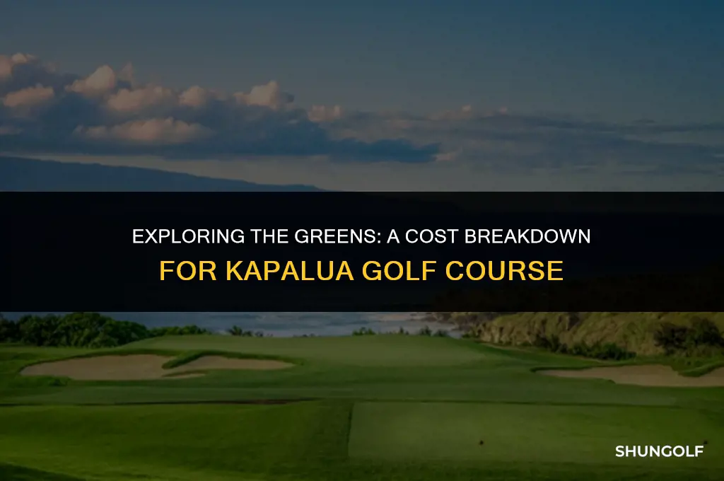how much does it cost to play kapalua golf course