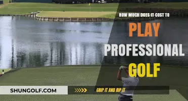 Professional Golf Costs: Expenses and Budgeting for Aspiring Pros