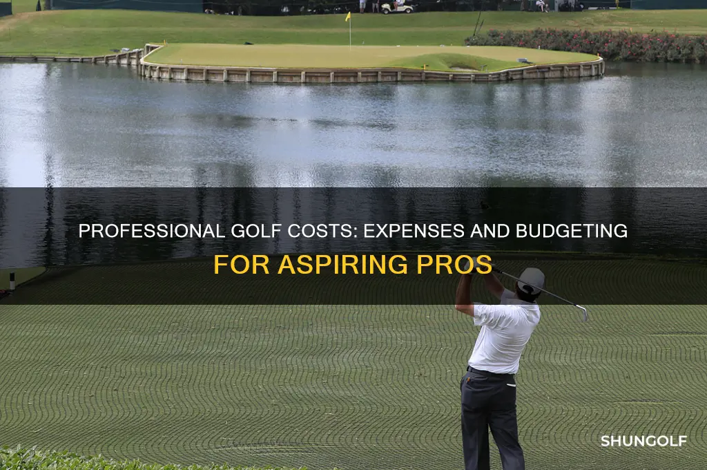 how much does it cost to play professional golf