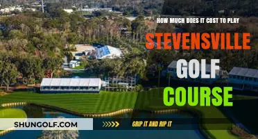 Exploring the Green Fees at Stevensville Golf Course: A Comprehensive Guide