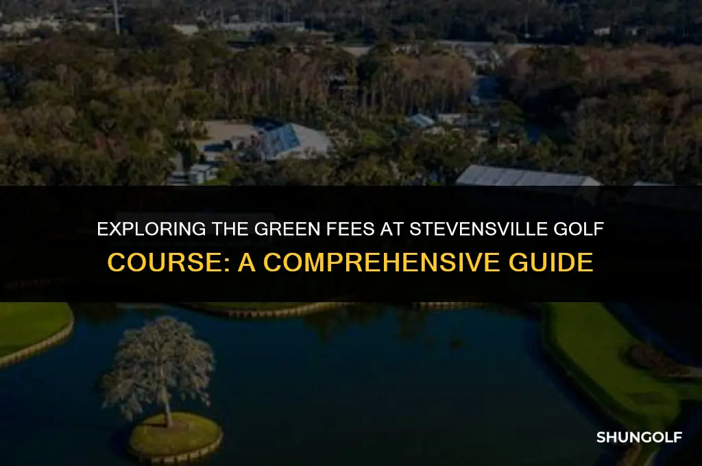 how much does it cost to play stevensville golf course