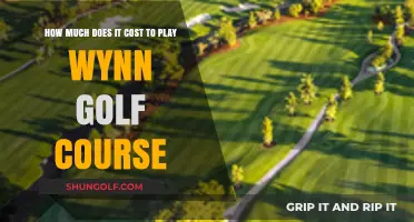Exploring the Green Fees at Wynn Golf Course: A Comprehensive Guide