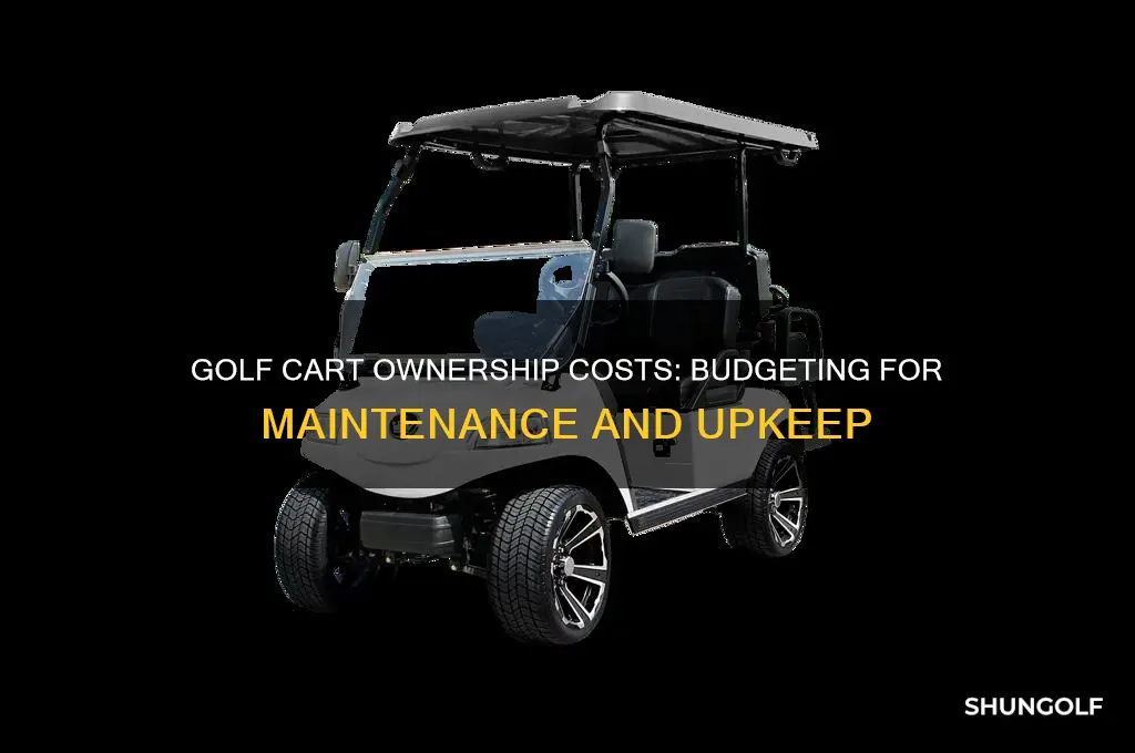 how much does it cost to raise a golf cart