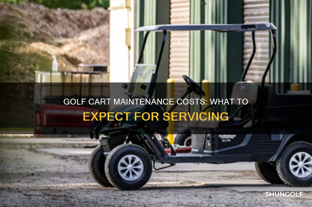 how much does it cost to service a golf cart