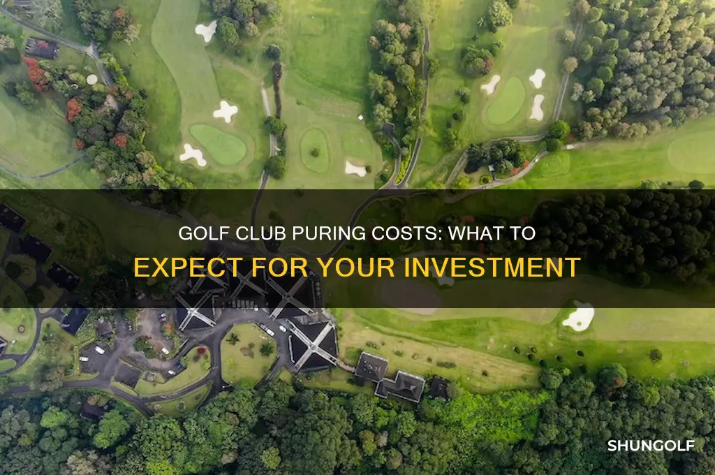 how much does puring golf clubs cost