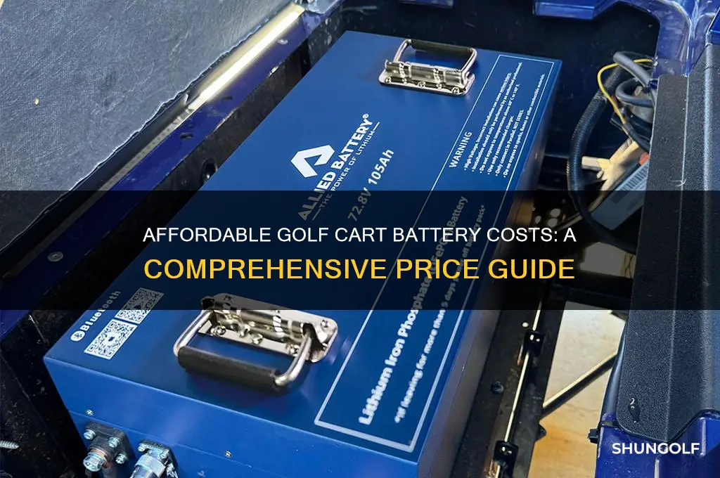 how much easy golf cart battery cost