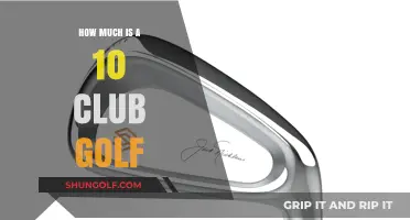 Exploring the Cost of a 10-Club Golf Set for Beginners