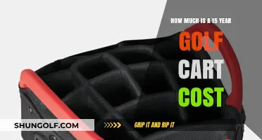 Exploring the Cost of a 15-Year Golf Cart: What to Expect