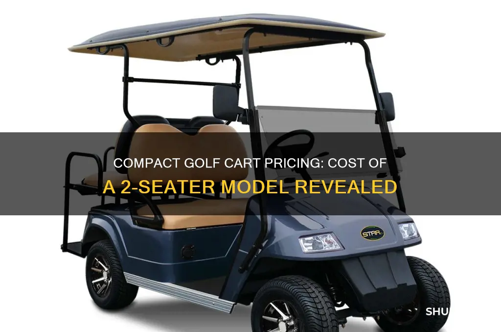 how much is a 2 seater golf cart