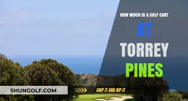 Torrey Pines Golf Cart Rental Costs: What to Expect
